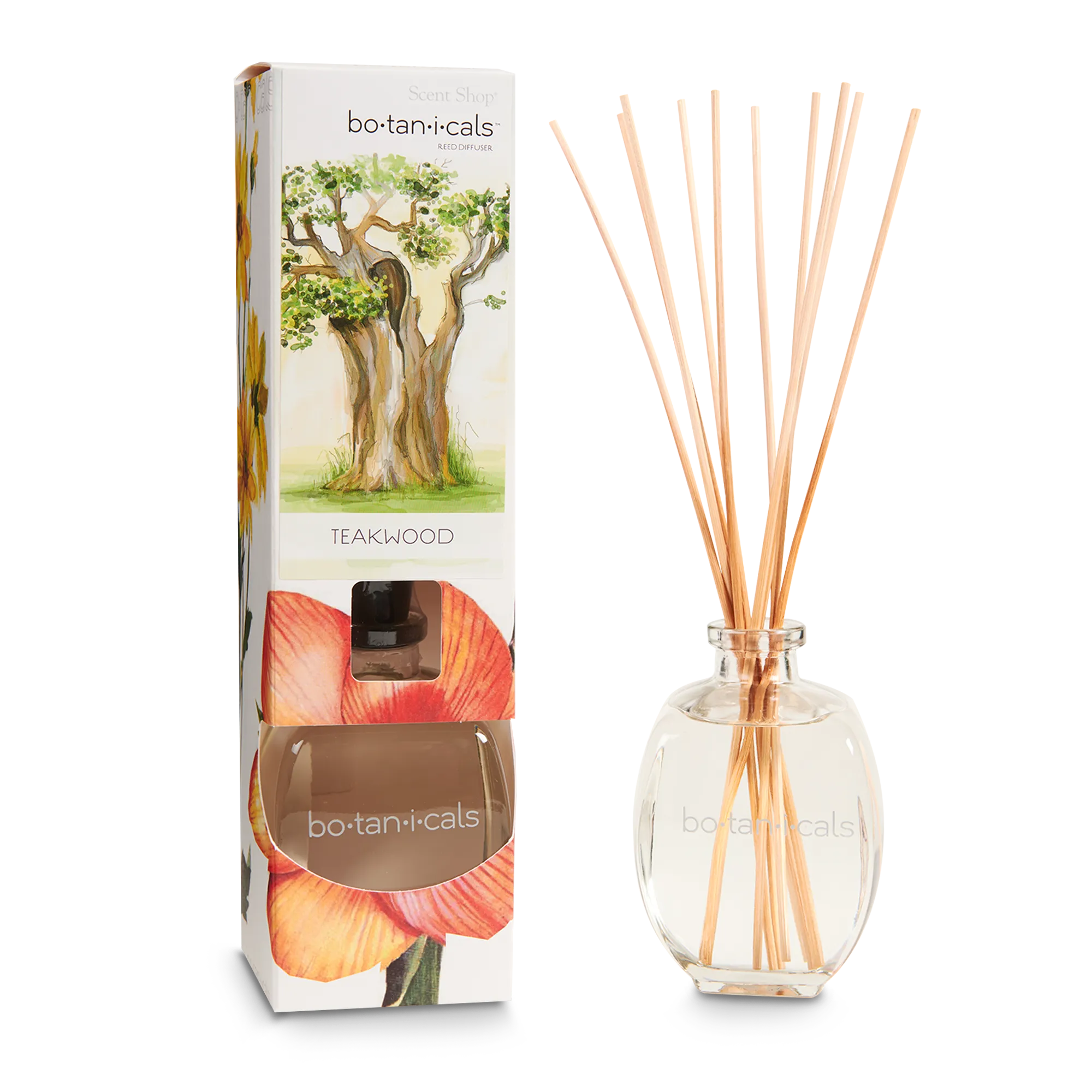 Reed Diffuser – Teakwood - Image 2