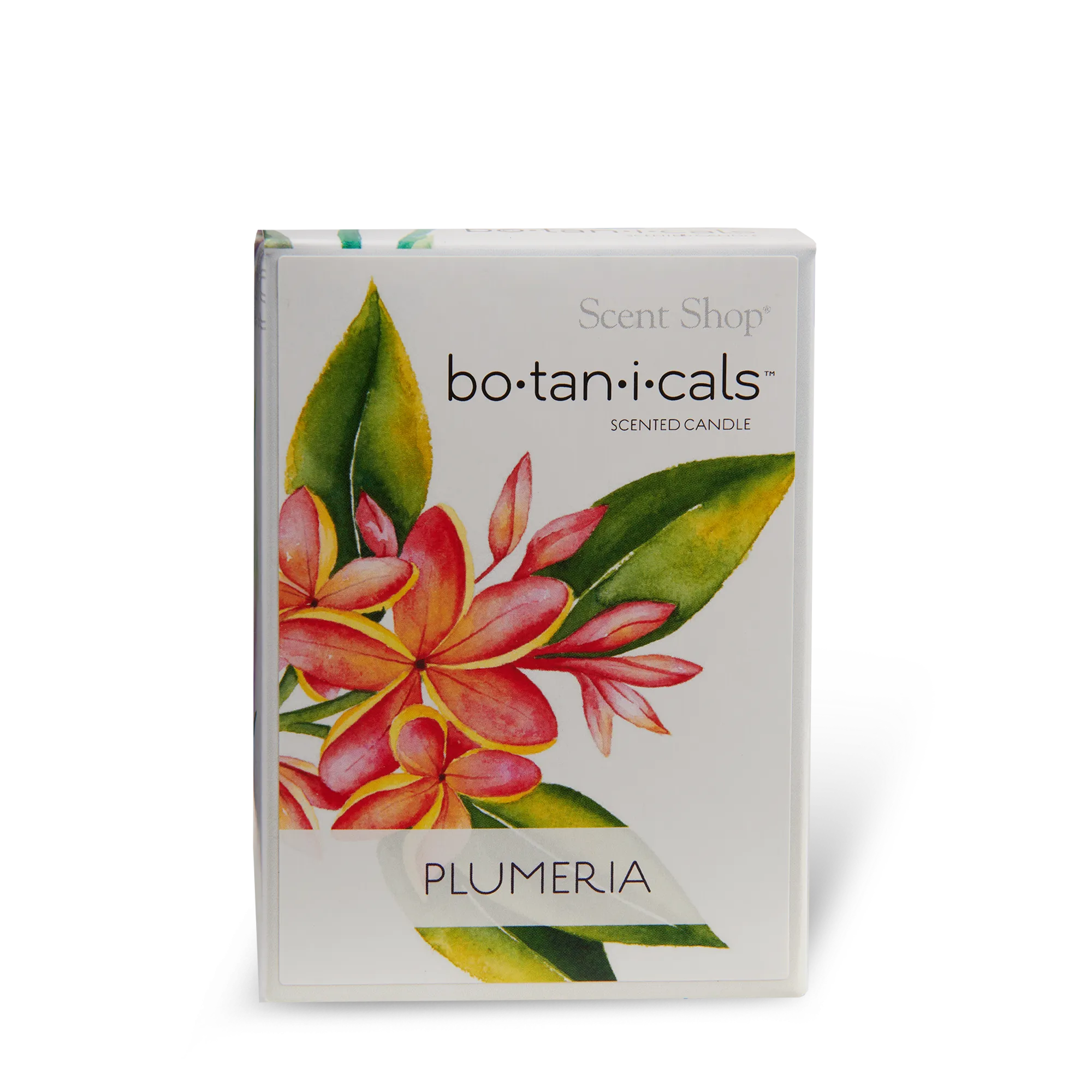 Perfumed Candle - Plumeria - Image 3